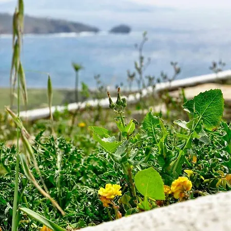Apartment Mykonos Escape